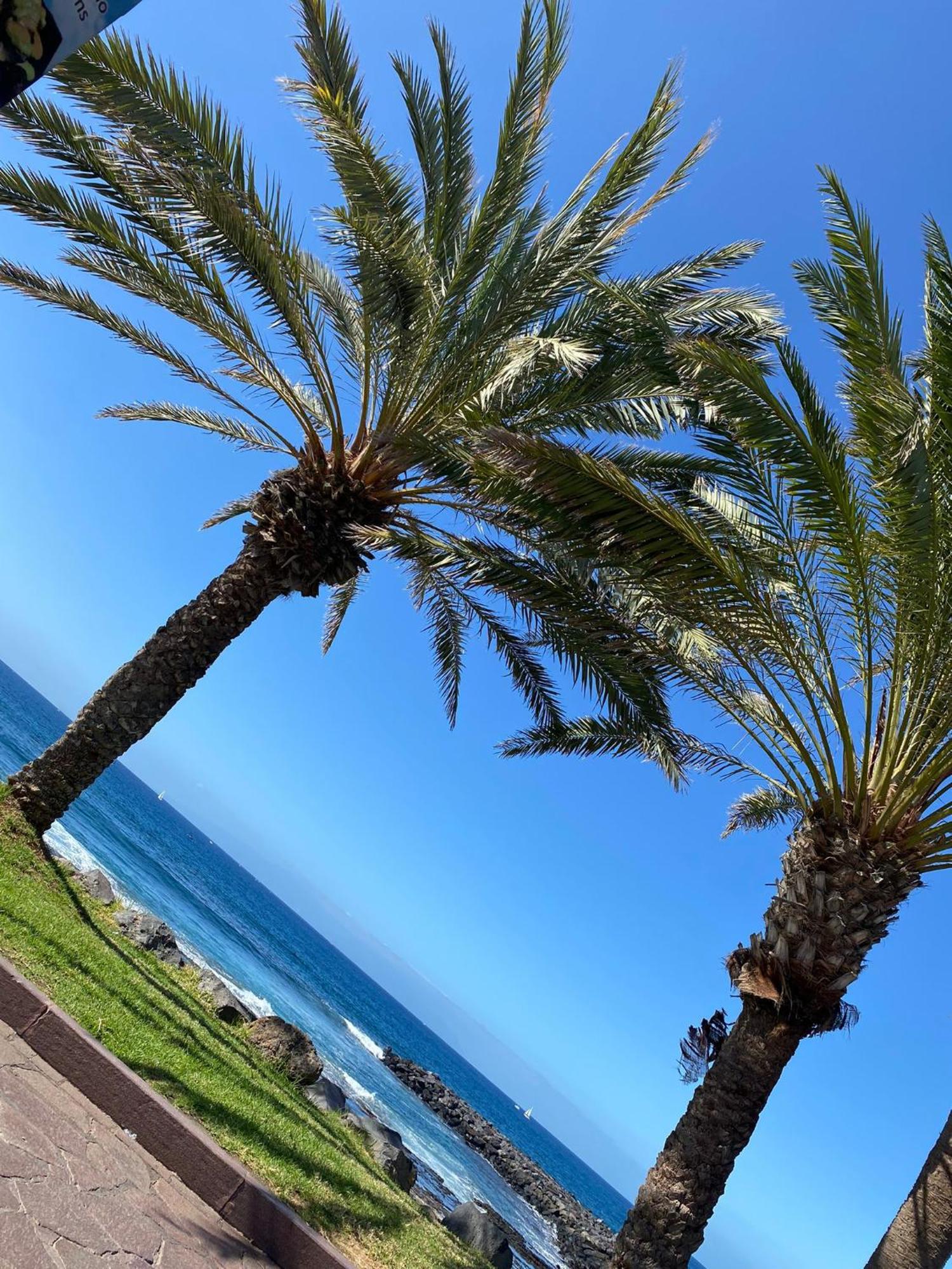 Coconut Apartament In Garden City Playa Feñabe 外观 照片